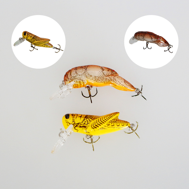 Kit de pesca de truta personalizado fabricado na China